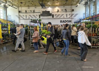 Tłumy na Festiwalu Roślin w Radomiu