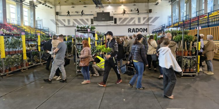Tłumy na Festiwalu Roślin w Radomiu