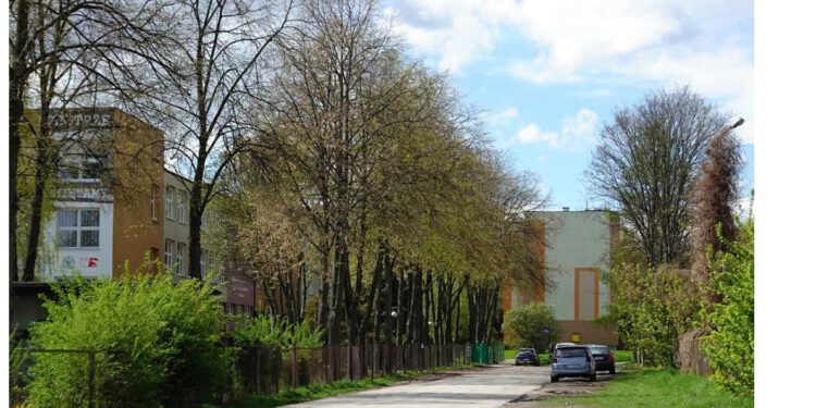 Ulica Sadkowska zostanie przebudowana