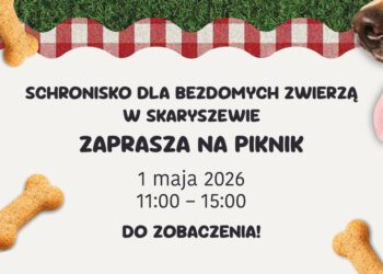 Piknik charytatywny w schronisku w Skaryszewie. Będą atrakcje i pomoc dla zwierząt