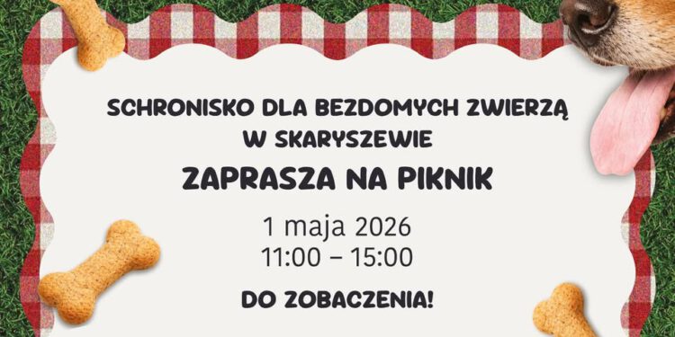 Piknik charytatywny w schronisku w Skaryszewie. Będą atrakcje i pomoc dla zwierząt