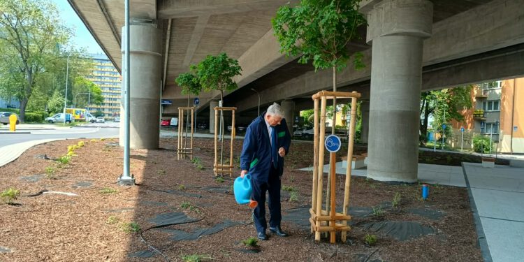 PiS krytykuje inwestycję przy ul. Żeromskiego