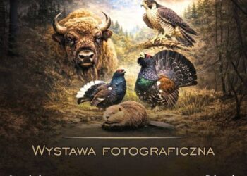 Nowa wystawa w Domu Kultury w Bartodziejach