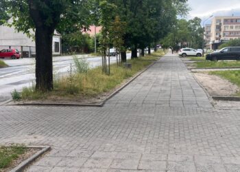 Na ul. Okulickiego powstanie kolejny odcinek ciągu pieszo-rowerowego