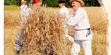 Do Wolskiej Dąbrowy wraca klimat dawnych żniw!