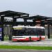 Zmiany na siedmiu radomskich liniach autobusowych!