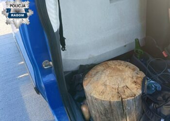 Na pieńku z drogówką czyli o wpadce młodego kierowcy