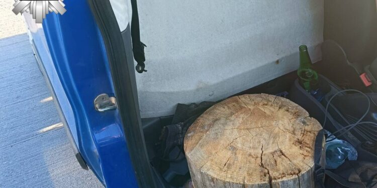 Na pieńku z drogówką czyli o wpadce młodego kierowcy