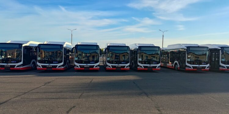 Nowe autobusy na ulicach Radomia