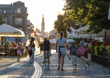 Powołają Społecznego Opiekuna Zabytków