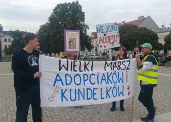 Adopciaki i Kundelki przejęły centrum miasta!