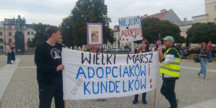 Adopciaki i Kundelki przejęły centrum miasta!