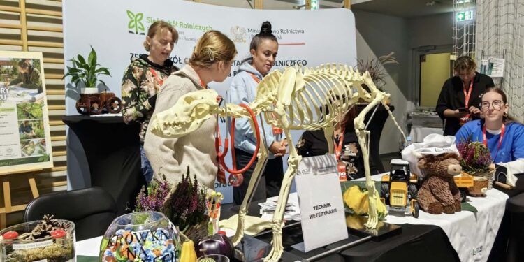Radom EXPO 2026. Zobacz, co dzieje się na wystawie [Galeria]