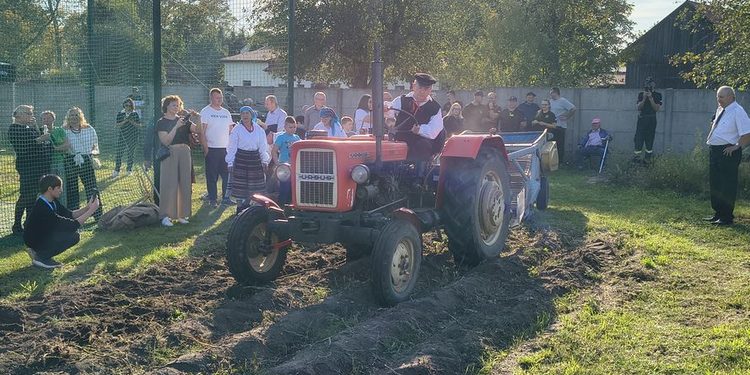 Ziemniak w roli głównej. Bartodziejskie Wykopki już za nami